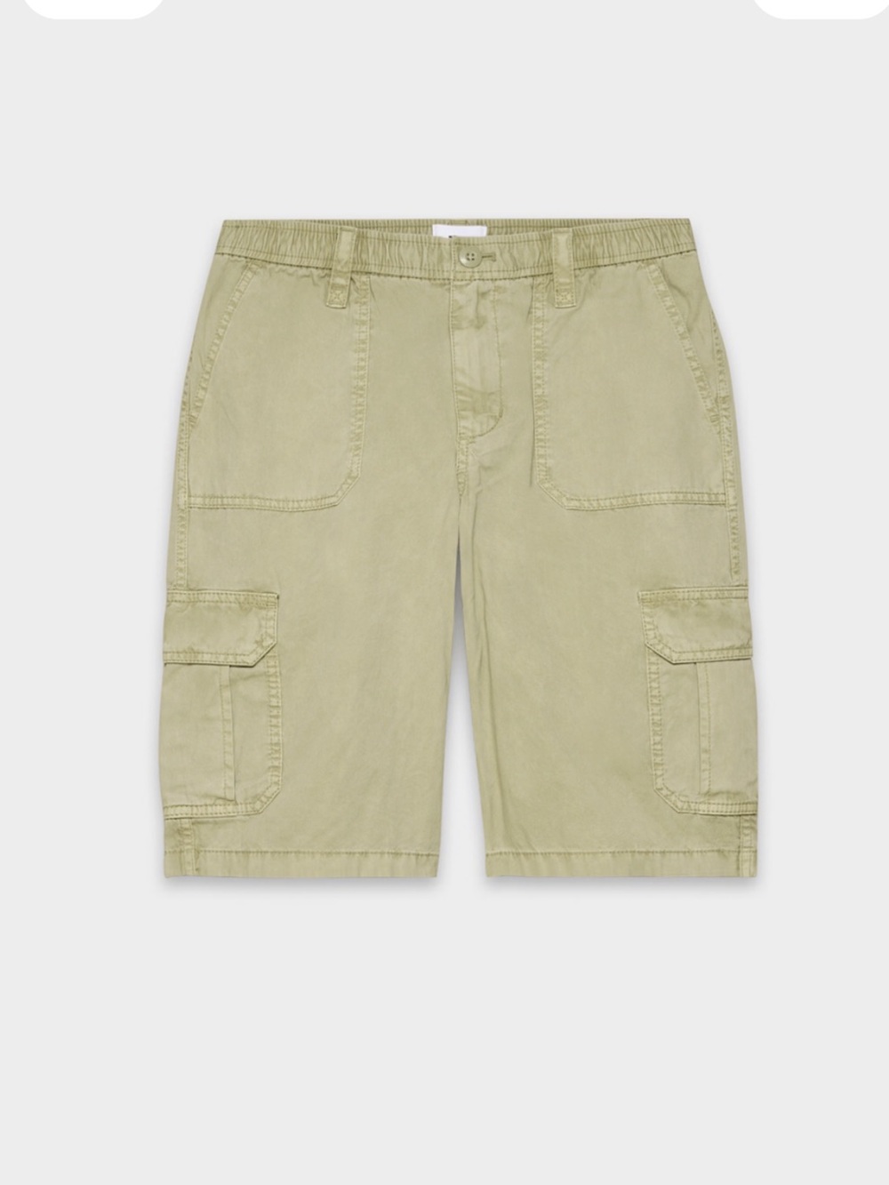 Aritzia bonfire cargo short
